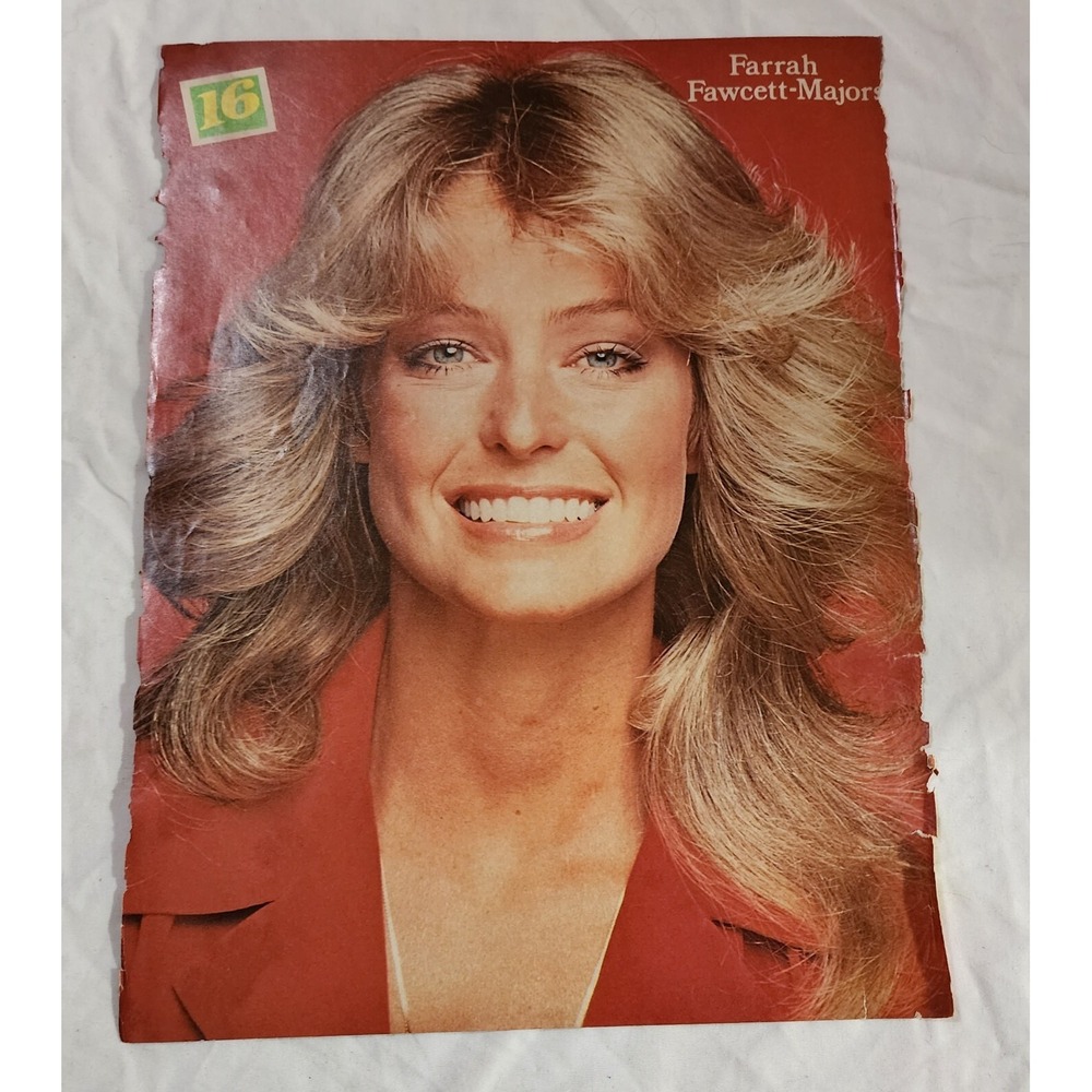 Farrah Fawcett Majors headshot blonde hair pinup clipping vintage 1970s 8x10
